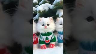 Winter Wonderland Fashion Show: Adorable Kittens Strut Their Stuff in Cozy Winter Dresses! #kittens