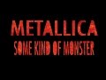 Metallica: Some Kind of Monster (DVD Trailer ...
