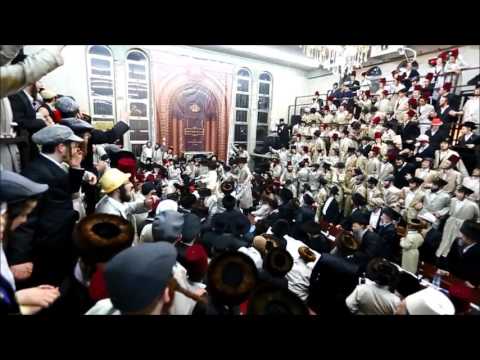 Purim 5777 With Lelover Rebbe In Bet Shemesh