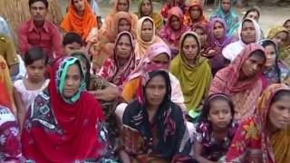 একটি বাড়ি একটি খামার ভিডিও