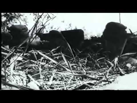 Diggers remember Milne Bay