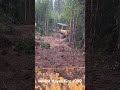 Dozer line construction - Mount Hayes Fire #299 - Gerstle River near Delta Junction Alaska