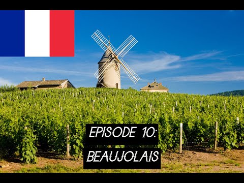 Episode X - Beaujolais | WSET Level III Award in Wine Review