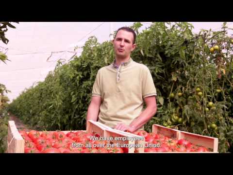 Why I vote - Tom (farmer) - IE