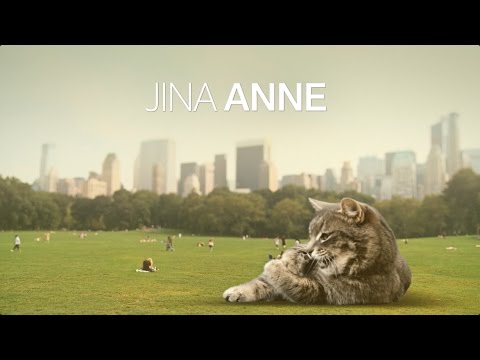 Design Systems: Real Talk