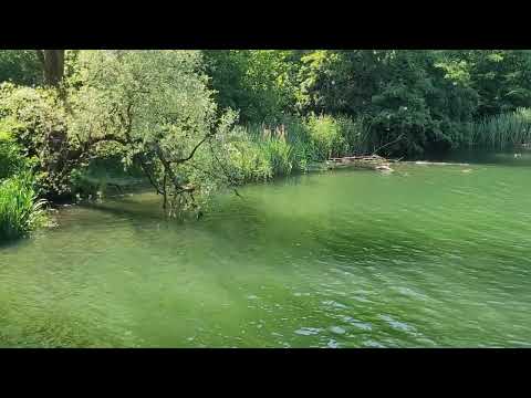 🇨🇭 1 - Wichenstein, Oberriet, St. Gallen, Switzerland Schweiz 🇨🇭