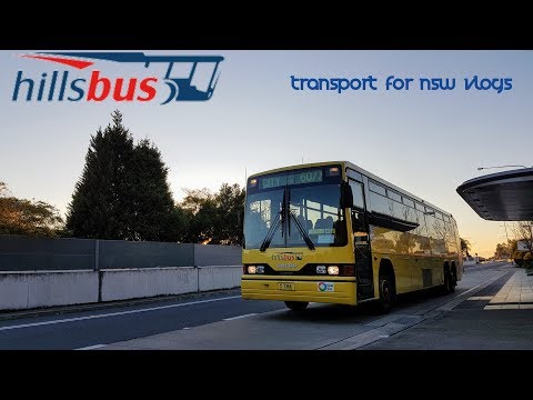 Hillsbus Foundry Rd m/o 7366 Volvo B10M Mk IV/Custom Coaches 510