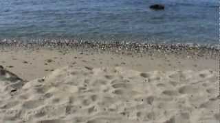 preview picture of video 'Playa de Calahonda Mijas-Costa (Julio 2012) 7 GPS:36.48699 -4.71883'