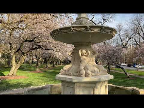 Relaxing stress relieving video