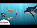 Splash And Bubbles The House Hunt Dolphin Games Season 3 Episode 6