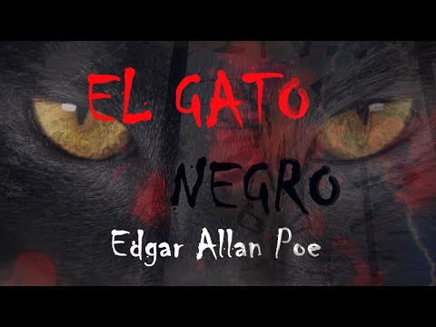 "El gato negro" de Edgar Allan Poe - Resumen en pizarra - VDL