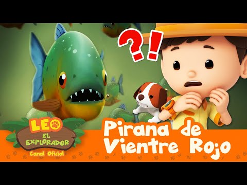 Monstruos Marinos?! 🐟 Pirañas, Tiburones y Más 🐟 | 30 MIN | Leo, El Explorador | Animación Niños