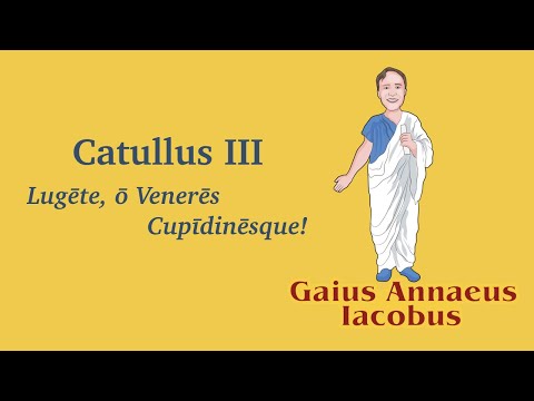 Catullus 3
