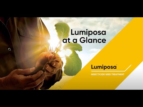 Lumiposa in OSR – At a Glance