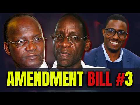 Jonathan Moyo vs Justice Mavedzenge: HEATED DEBATE on Constitutional Amendment Bill #3 !