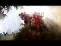 GOJIRA - Explosia (Lyric Video)