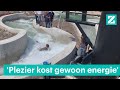 Center Parcs kan niet zonder stroomslurpende wildwaterbaan - RTL Z NIEUWS