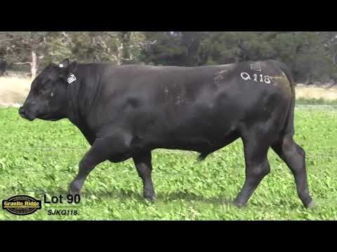 GRANITE RIDGE QUENTIN Q118