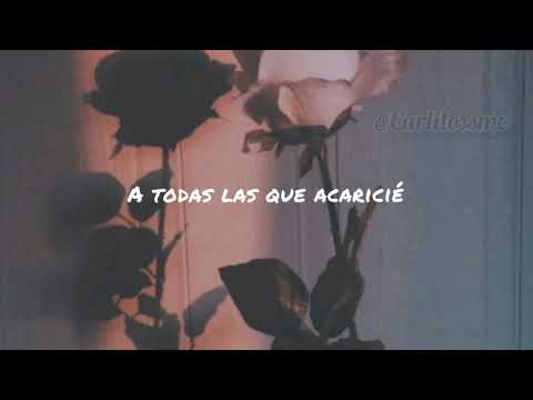 Las mujeres que yo amé - Hansel & Raúl // Letra