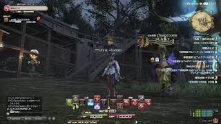 久々にＦＦ１４　レベ上げとか？