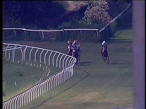 Galoppo 13/07/2019 - 4ª corsa