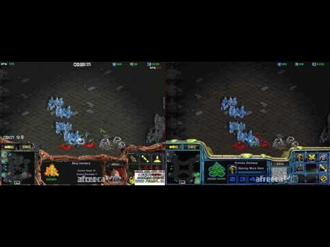 DUAL FPVOD: Larva vs Shuttle ZvP @ Circuit Breaker #3 [2017-05-22]