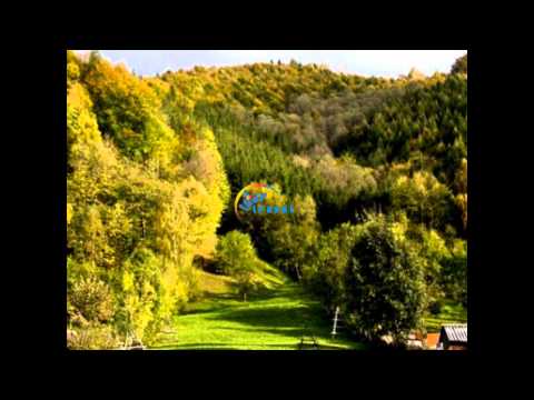 Cazare Pensiunea Craita Tesila/Valea Doftanei - www.TourTravel.ro