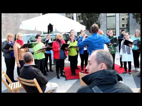 Menschenrechtschor Nürnberg -  Die Nürnberger Stadtstimmen