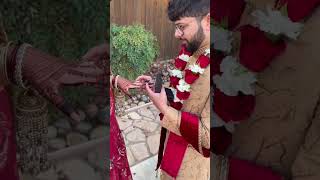 tall desi bride and short desi groom exchanging rings || urwah bangi