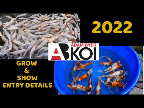 2022 Byer Koi Farm Grow & Show - Entry details