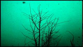 Christian Loeffler - Ash & Snow