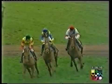 2000 Shukers For Landrover Novices' Chase