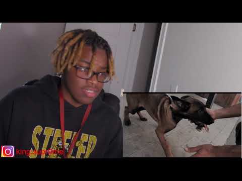 FARD - MOTOROLA (REACTION)