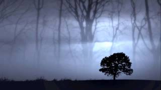 Cisfinitum - Landschaft I