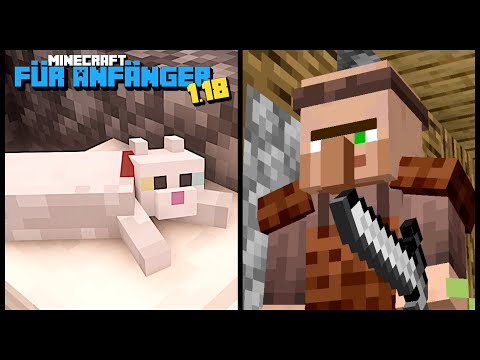 DORFBEWOHNER und KATZEN in Minecraft | Minecraft für Anfänger 1.18 #17 |  LarsLP