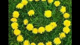 GRENADE ] BRUNO MARS 30 MIN