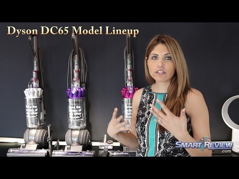 Dyson Vacs | Dyson DC65 Upright Vacuum Lineup and Comparison | Multi-Floor, Animal, Animal Complete