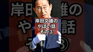 岸田文雄のやばい話③ #政治 #自民党   #石破茂  #岸田文雄 #shorts  #投票 VOICE:VOX 青山龍星 VOICE:VOX Nome