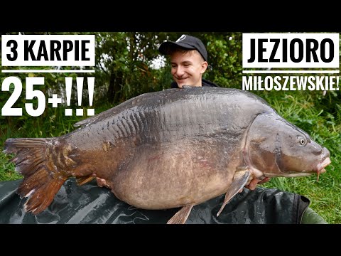 3 Karpie 25+ w 4 godziny!!! - Zasiadka Życia! - Jezioro Miłoszewskie - Wędkarstwo Karpiowe
