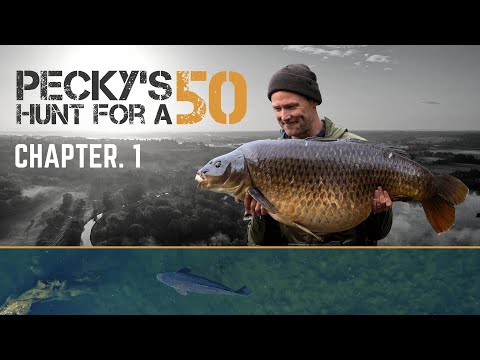 Pecky's Hunt for a 50 | Part 1 | Darrell Peck | Extract