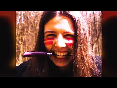 The Kings Of Dubrock - Gorillas im Nebel (Official Video)