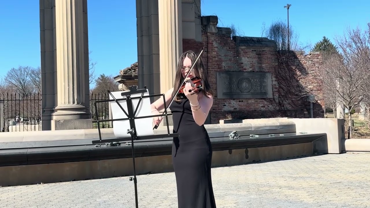 Promotional video thumbnail 4 for Aria Strings