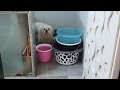CHERRY Ki AGNI PARIKSHA Ss Vlogs
