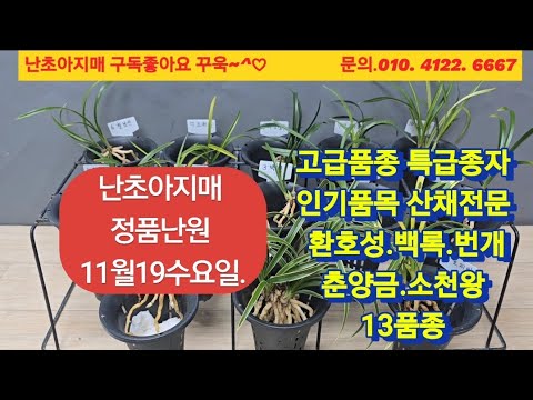 유튜브 썸네일