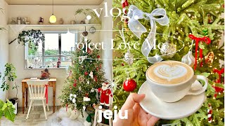 Christmas in Jeju | Christmas cafe hopping ☕️🎅🏻🎄☃️♥️ | Living alone Vlog
