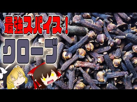 クローブの木 植物