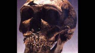 L'evoluzione -Banco del Mutuo Soccorso- versione ridotta