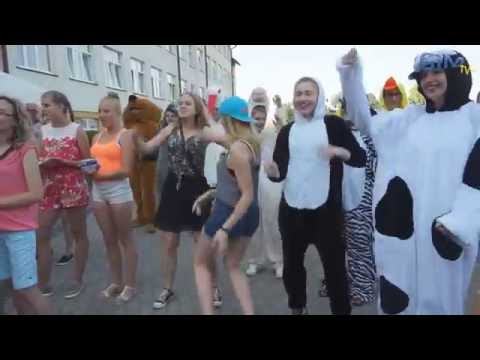 VIII Piknik Rodzinny – "Szkoła bez przemocy"