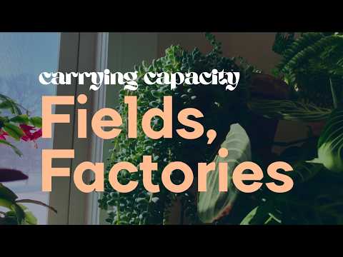 Fields, Factories — Ambient improv with Pittsburgh Modular Voltage Lab 2 and Whimsical Raps Atrium