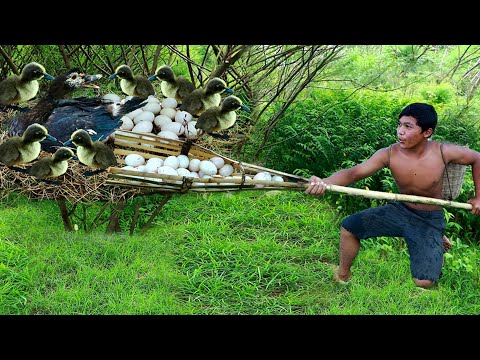 Man smart dog met eggs with baby duck and pick eggs - Eating delicious